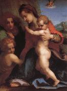 Andrea del Sarto Angel oil painting on canvas